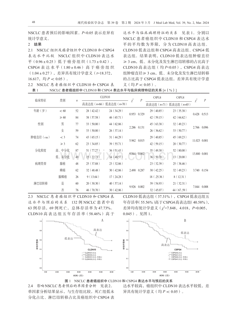 非小细胞肺癌组织中CLDN10和CSPG4水平表达与临床病理特征及预后的关系研究.pdf_第3页