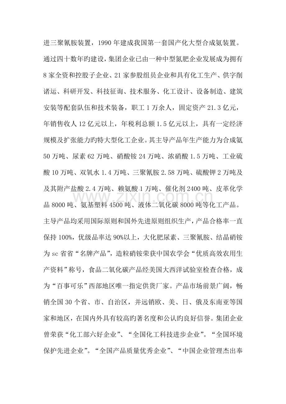 化工股份公司市场营销策划书.doc_第2页