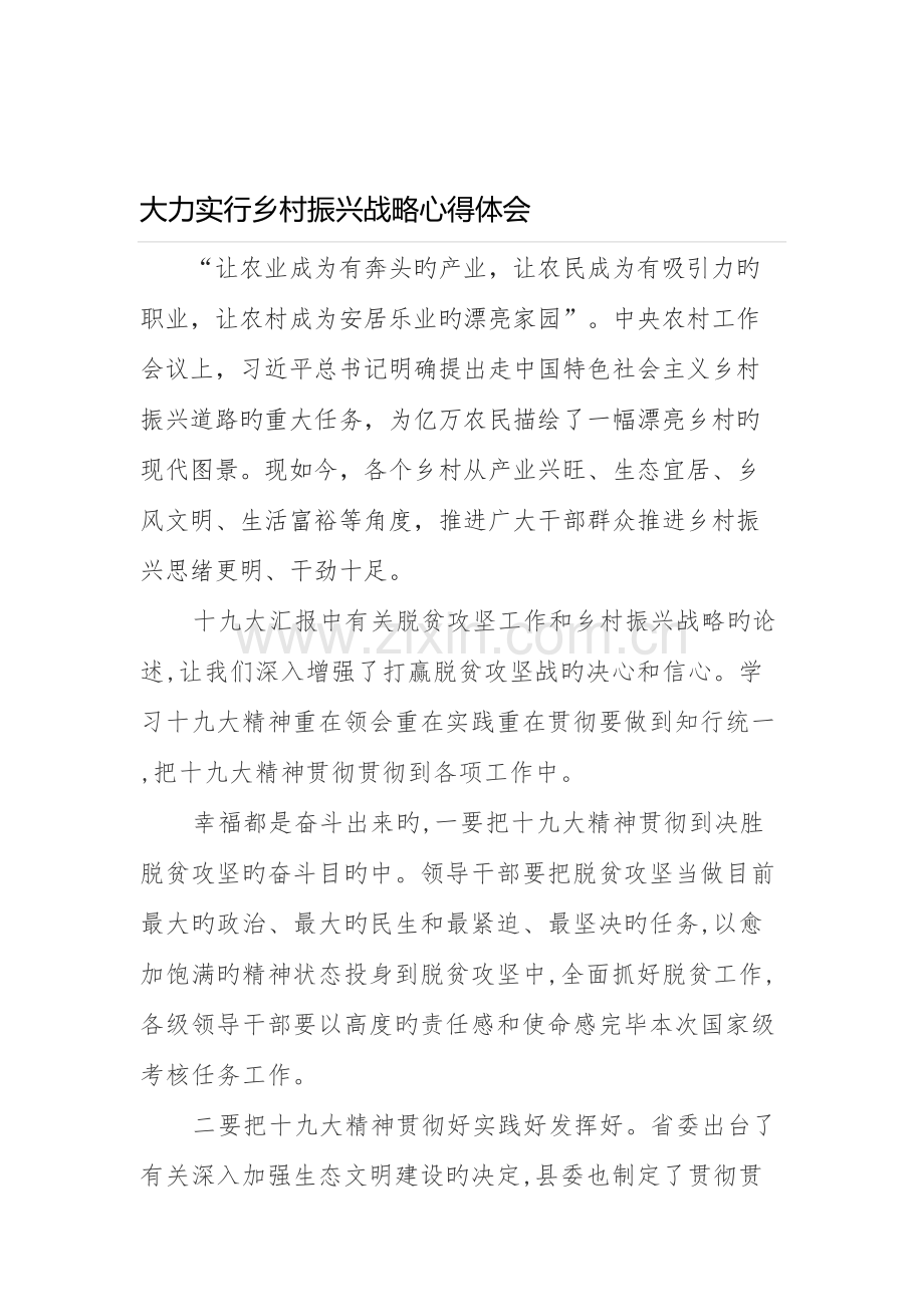 2023年大力实施乡村振兴战略心得体会.doc_第1页