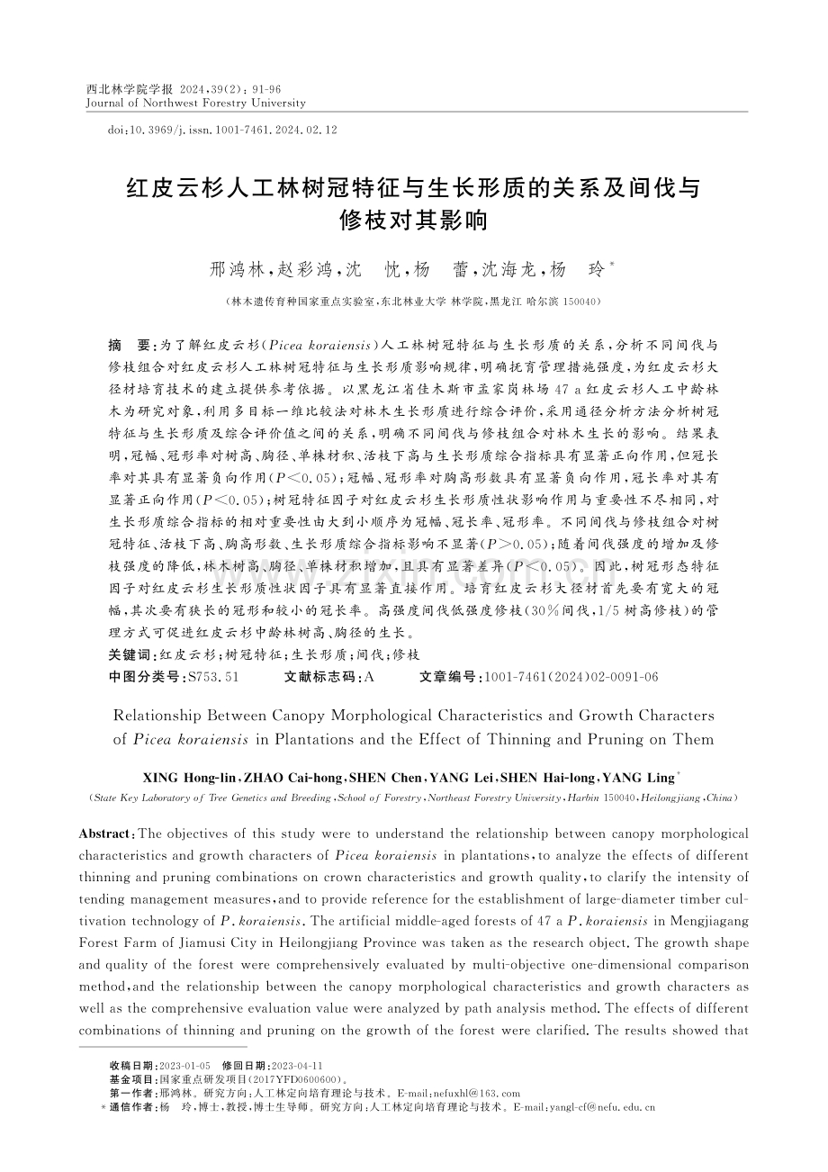 红皮云杉人工林树冠特征与生长形质的关系及间伐与修枝对其影响.pdf_第1页