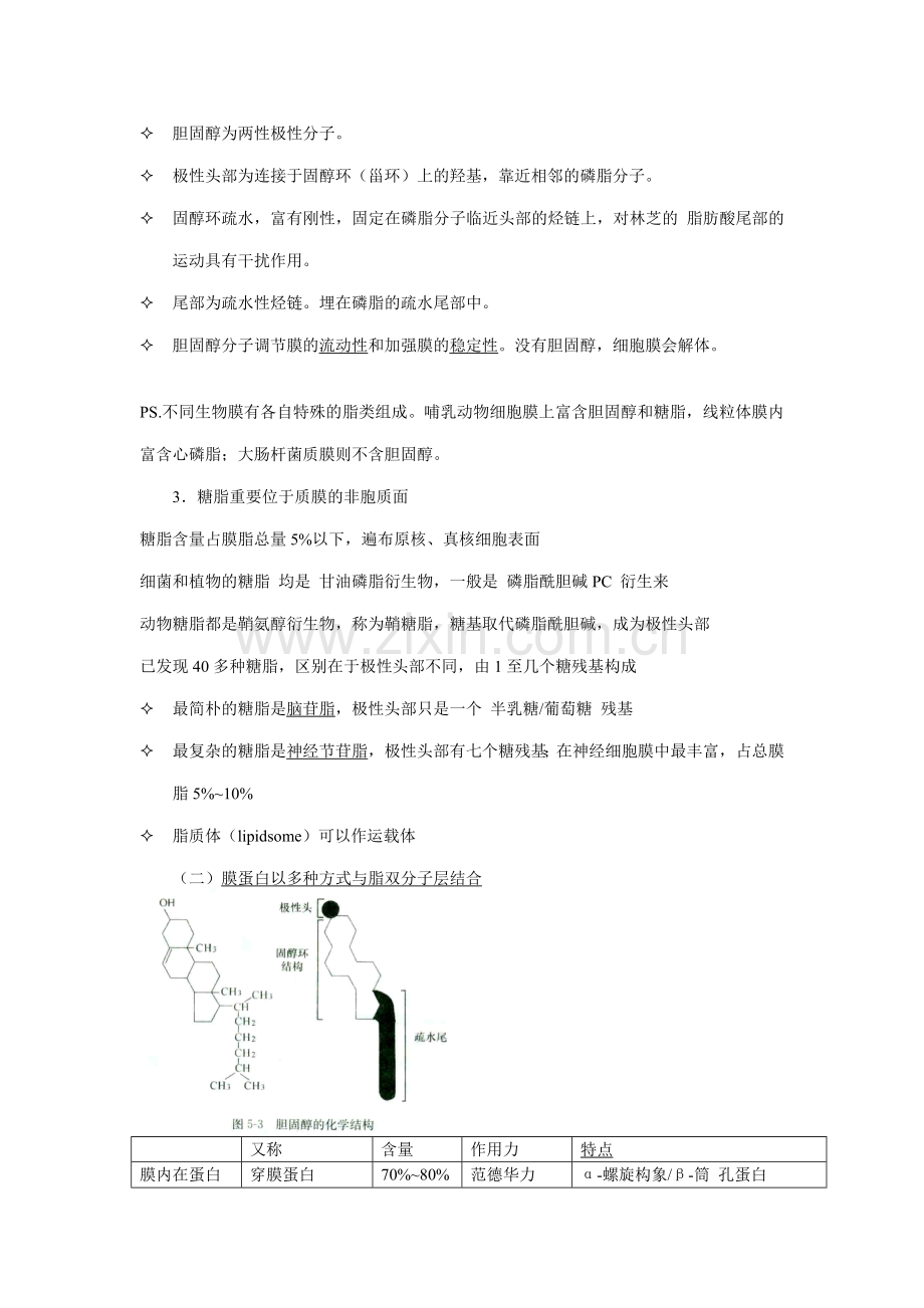 细胞生物学之笔记细胞膜与物质的穿膜运输.doc_第2页