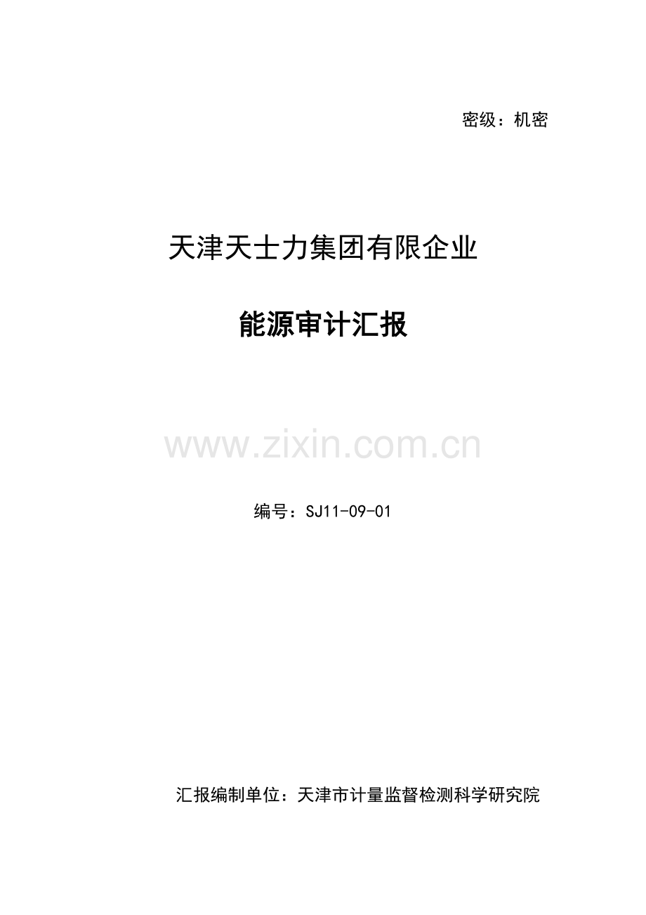 天津天士力集团有限公司能源审计报告给天士力.doc_第1页