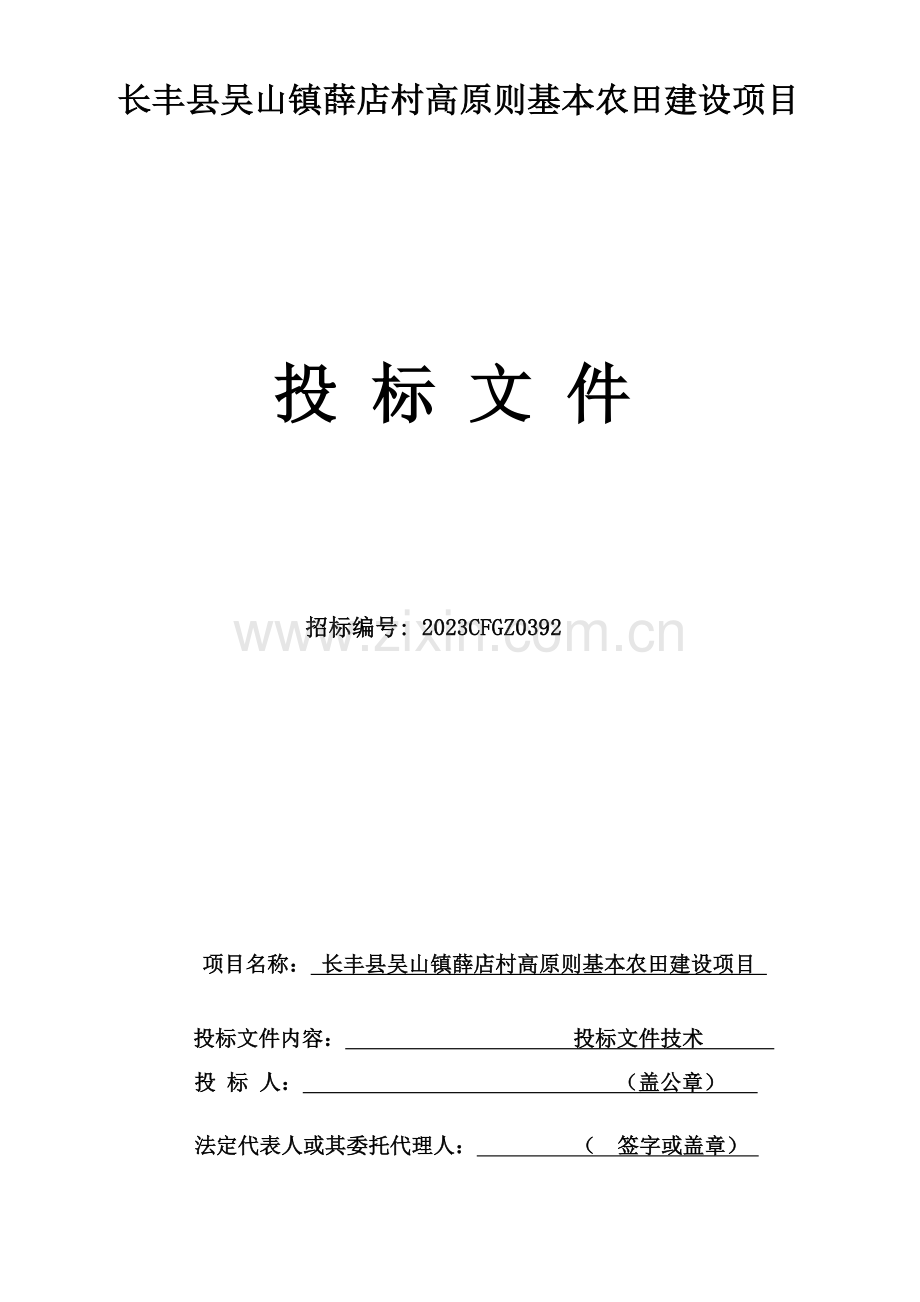 高标准基本农田建设项目施工方案.doc_第1页