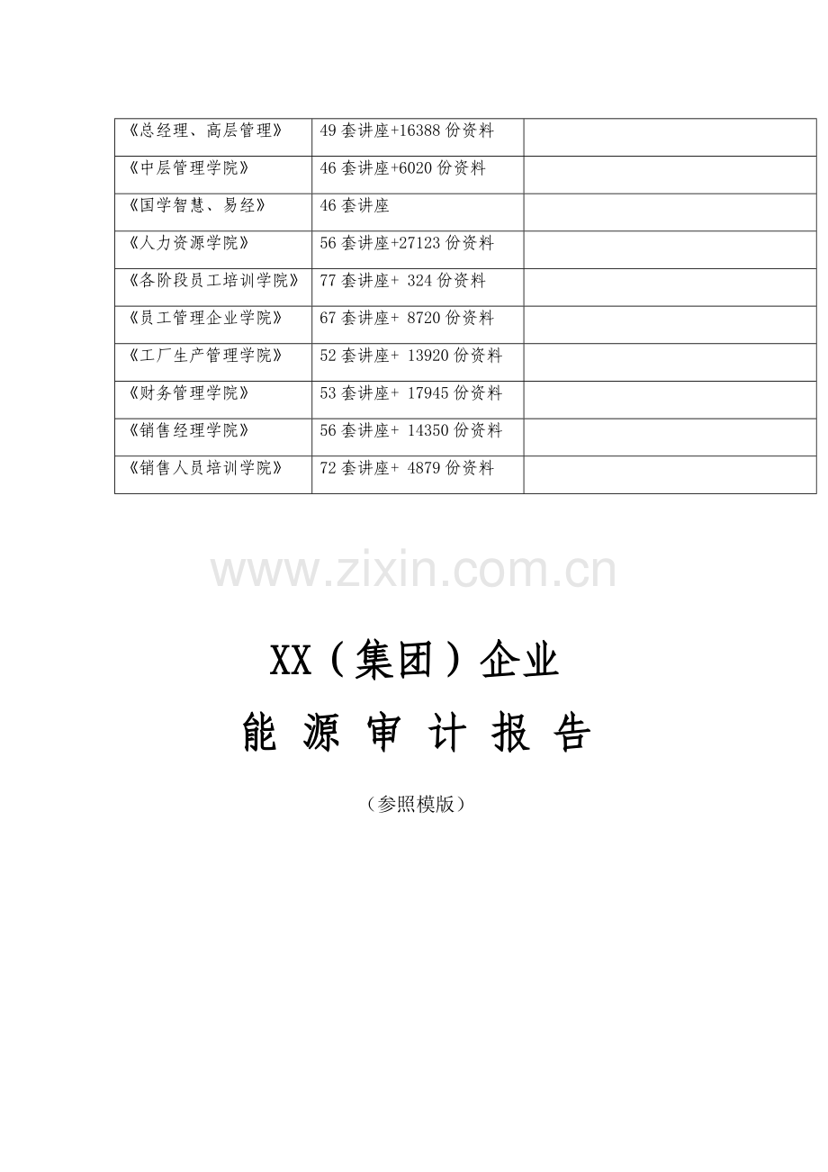 集团公司能源审计报告范本.doc_第2页