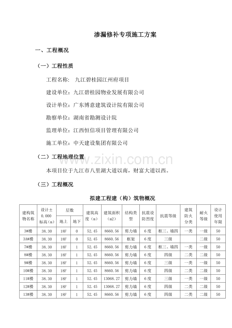 渗漏修补专项施工方案.doc_第2页