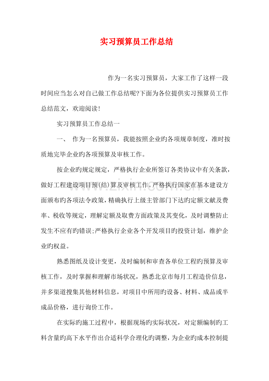 2023年实习预算员工作总结.doc_第1页