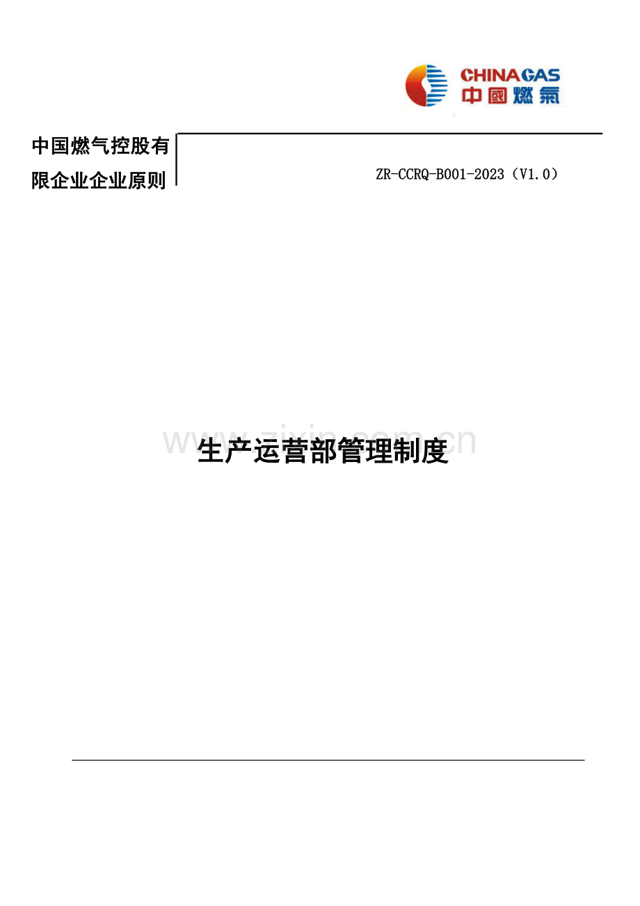 清洁能源有限公司生产运营管理制度汇编.doc_第1页