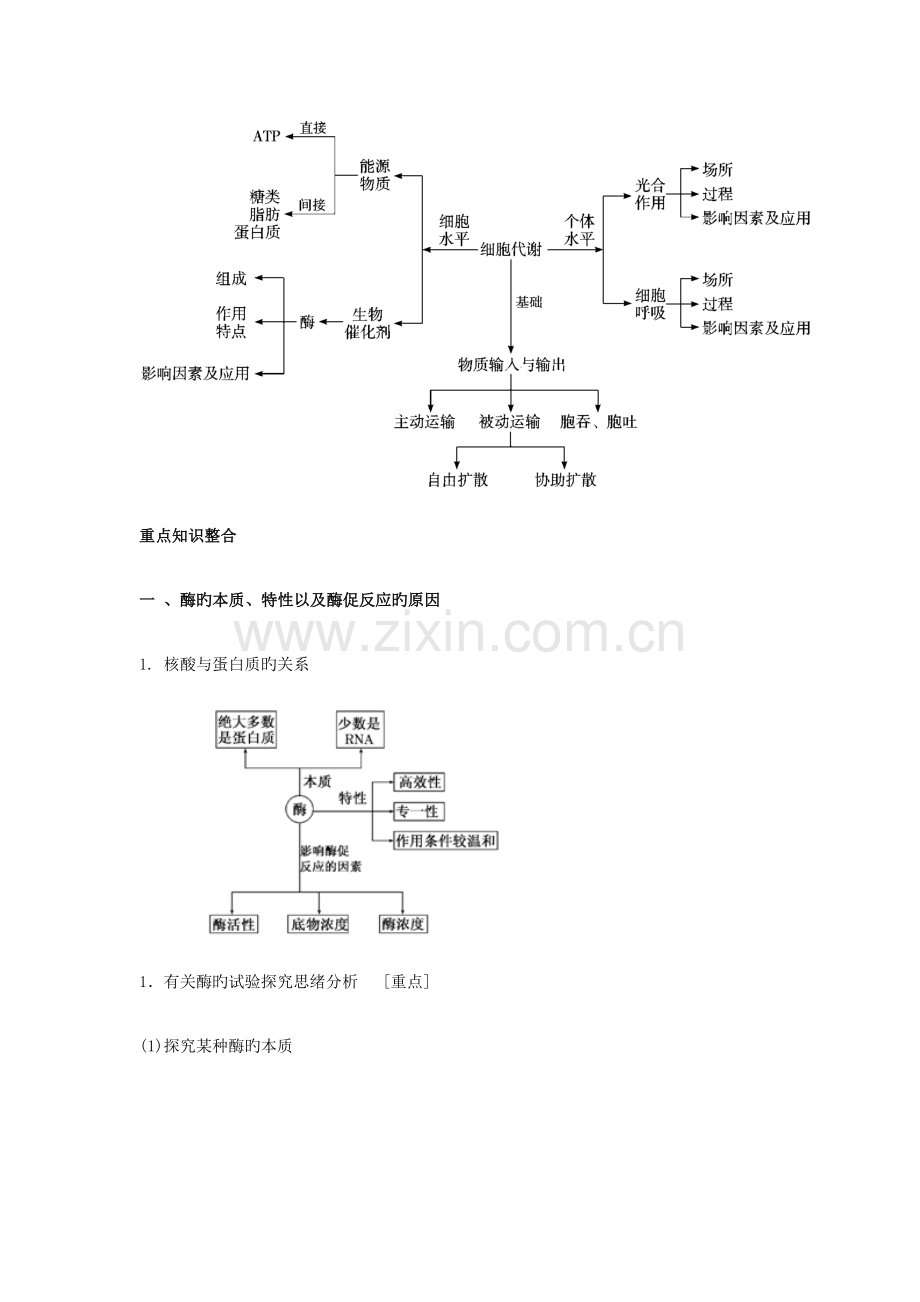 2023年高考生物知识点之细胞的代谢.docx_第2页