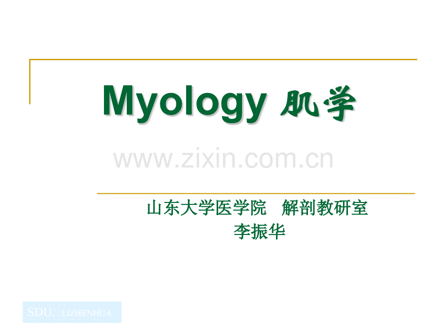 61Myology.pptx_第1页