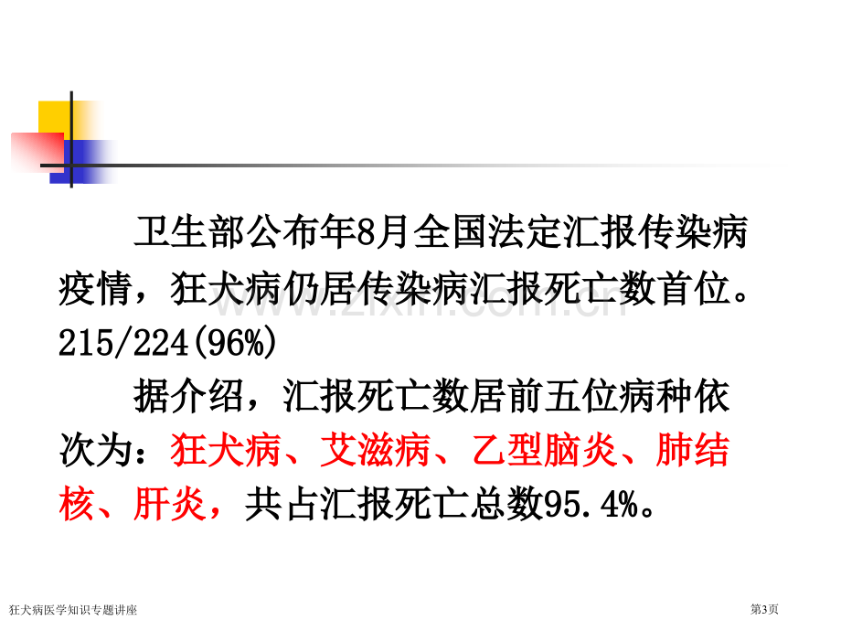 狂犬病医学知识专题讲座专家讲座.pptx_第3页