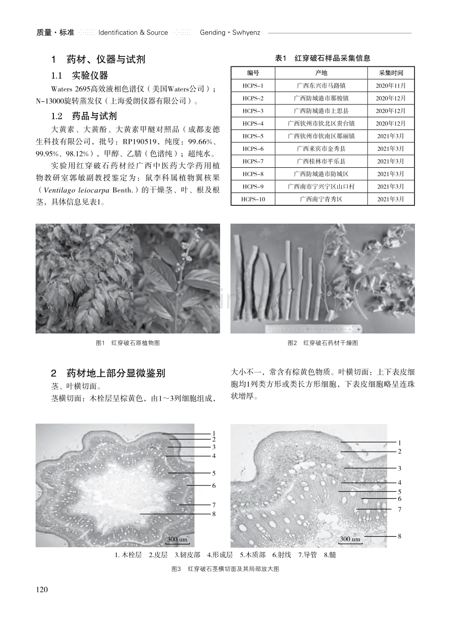 红穿破石地上与地下部分质量分析研究.pdf_第2页