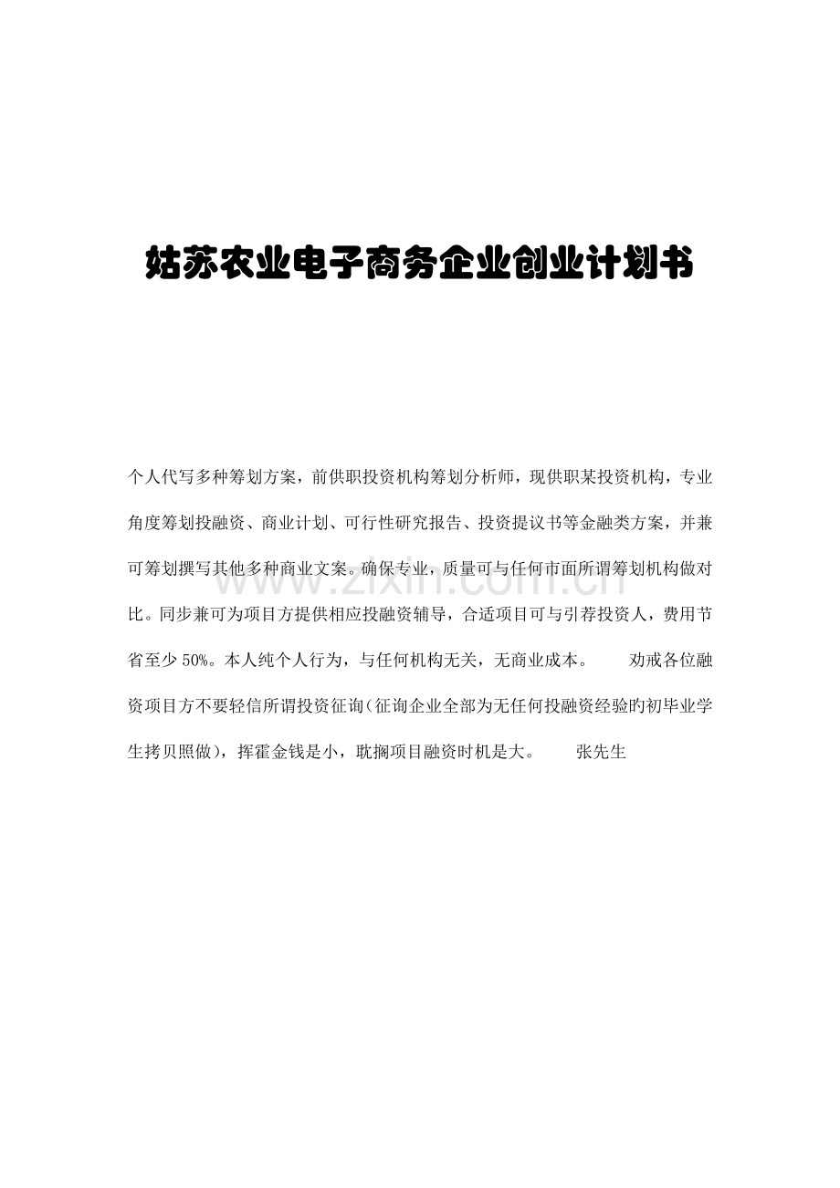 电子商务公司创业计划书.doc_第1页