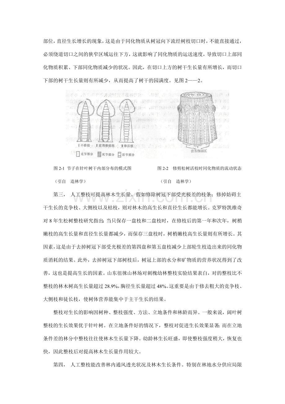 第二单元林木修枝技术.doc_第2页