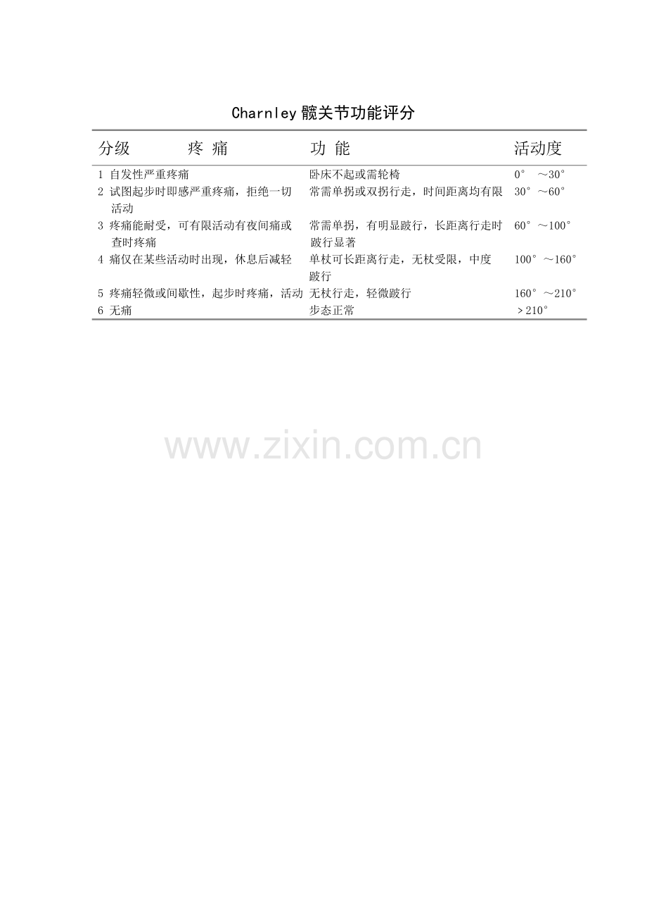 人工全髋关节置换术评分表.doc_第3页