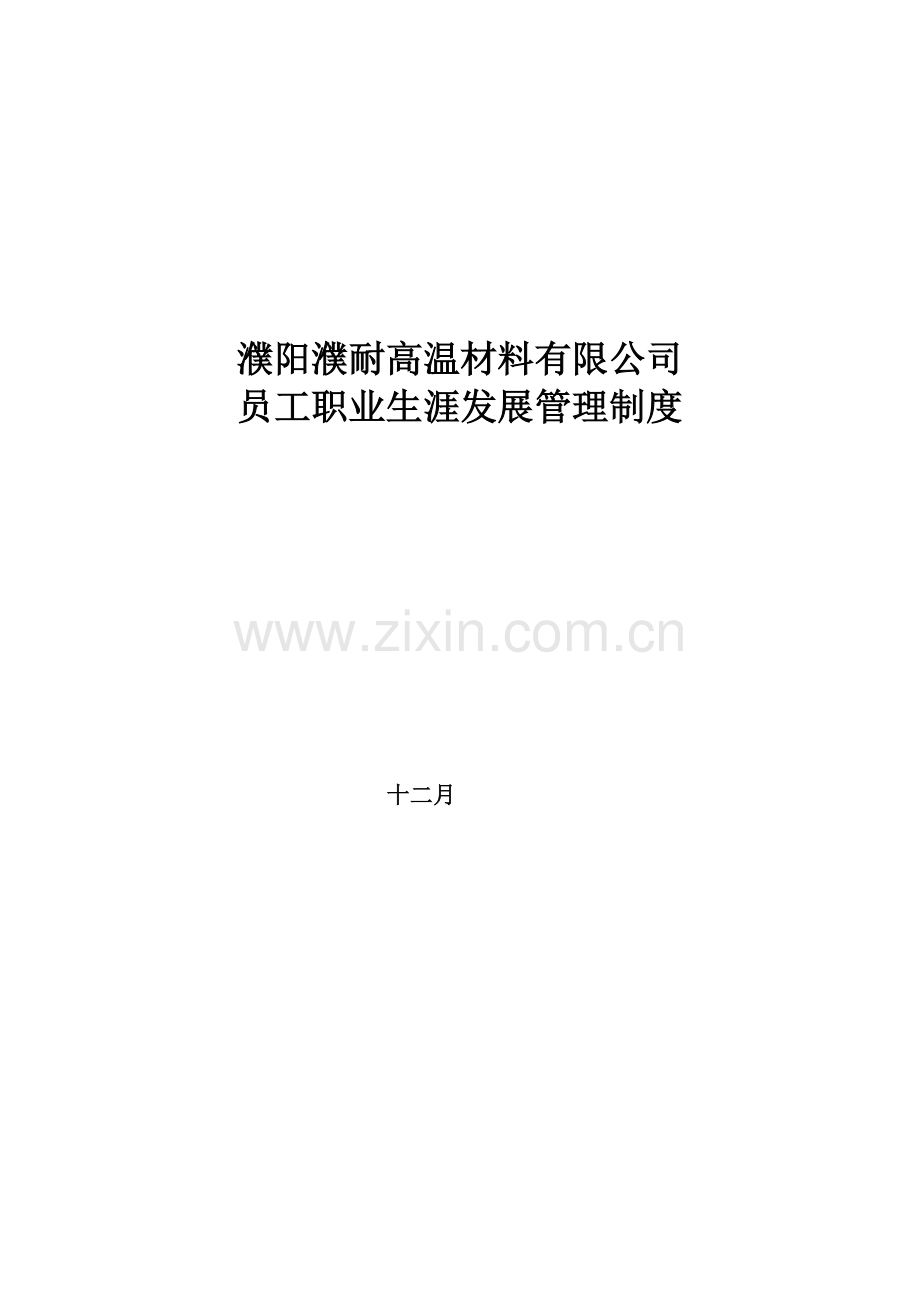 濮耐员工职业生涯发展管理制度终稿.doc_第1页