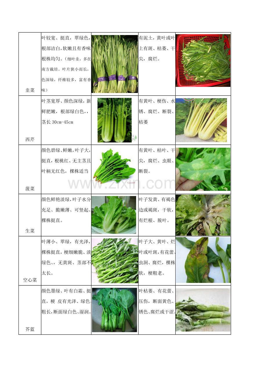 蔬菜验收标准图文.doc_第3页