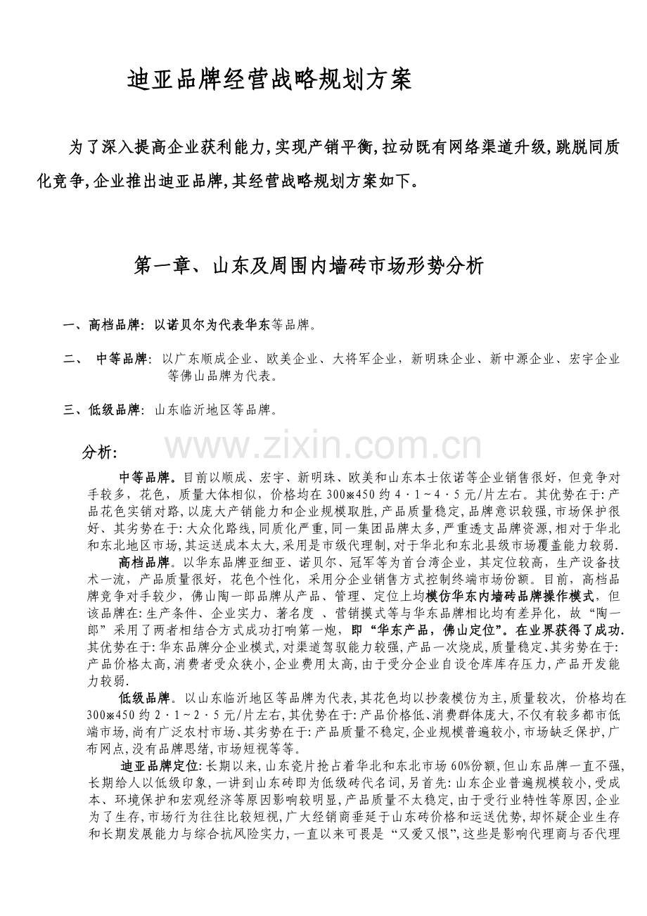 迪亚经营战略规划方案.doc_第3页