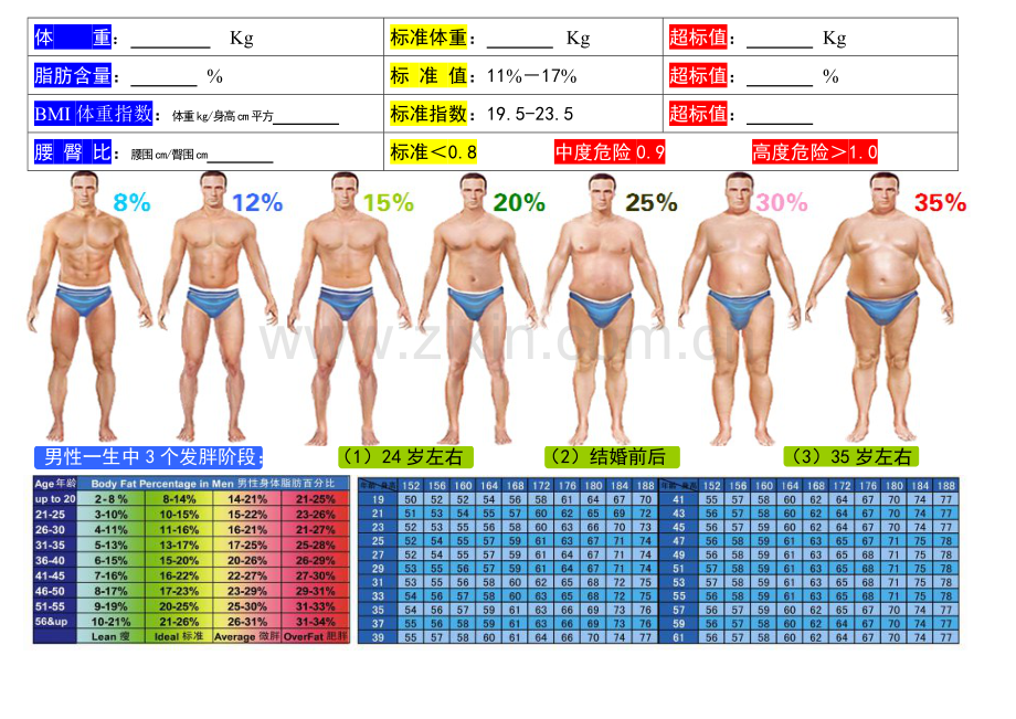 体测表格新.doc_第3页