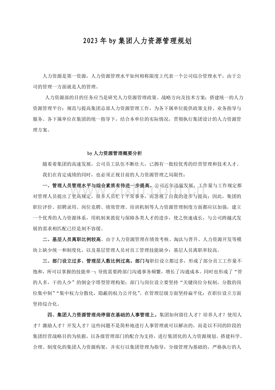 集团人力资源管理规划.doc_第1页