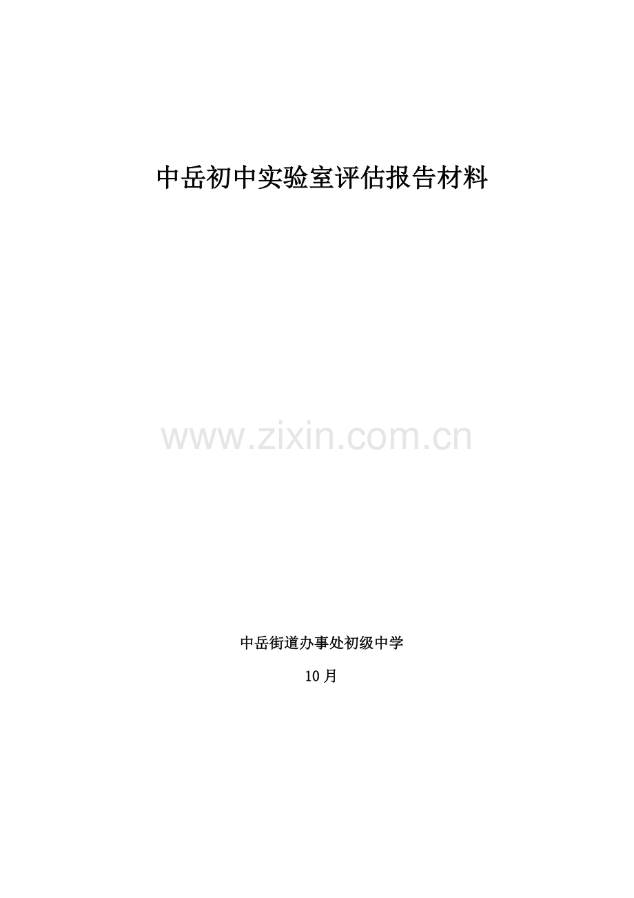 中岳初中实验室评估汇报材料.doc_第1页