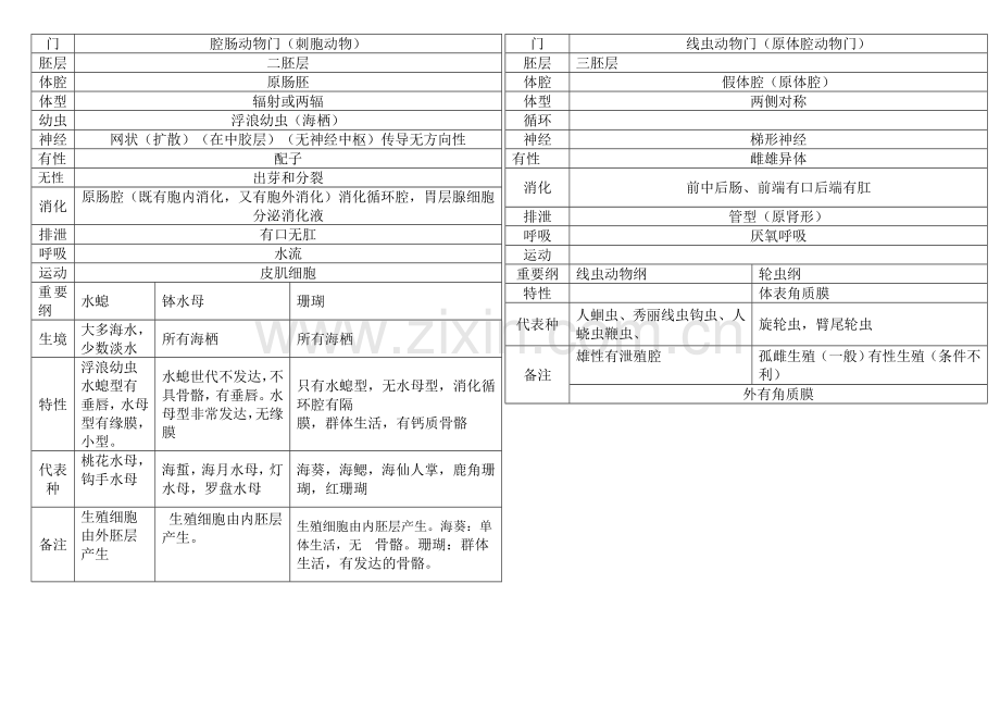 无脊椎动物总结表格为生竞的孩子们.doc_第2页