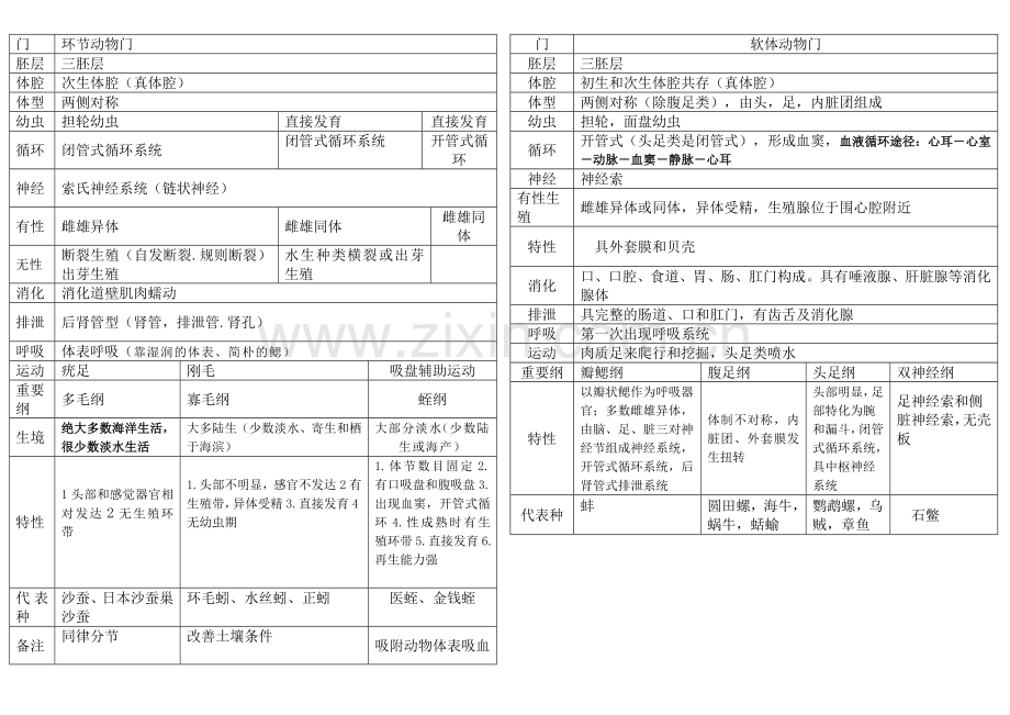 无脊椎动物总结表格为生竞的孩子们.doc_第3页