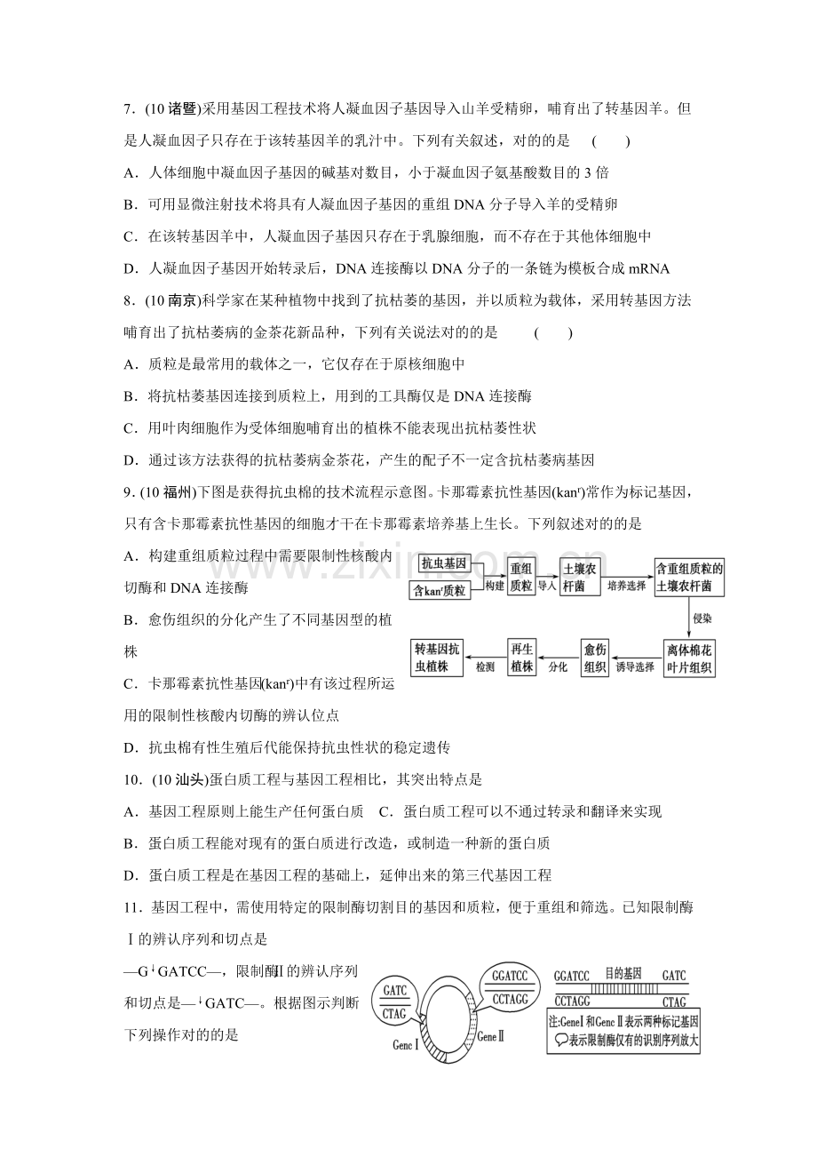 补课专题基因工程.doc_第2页