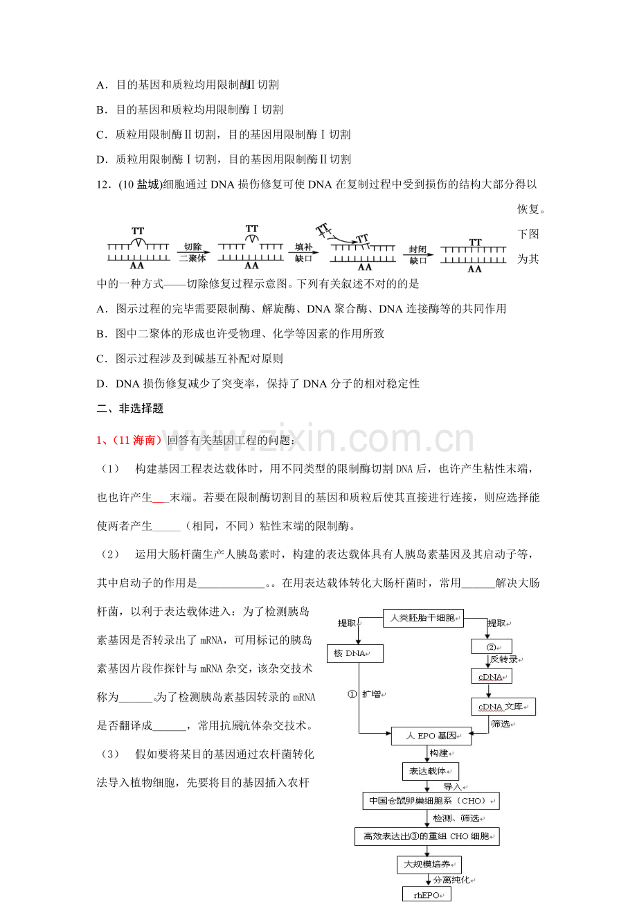 补课专题基因工程.doc_第3页