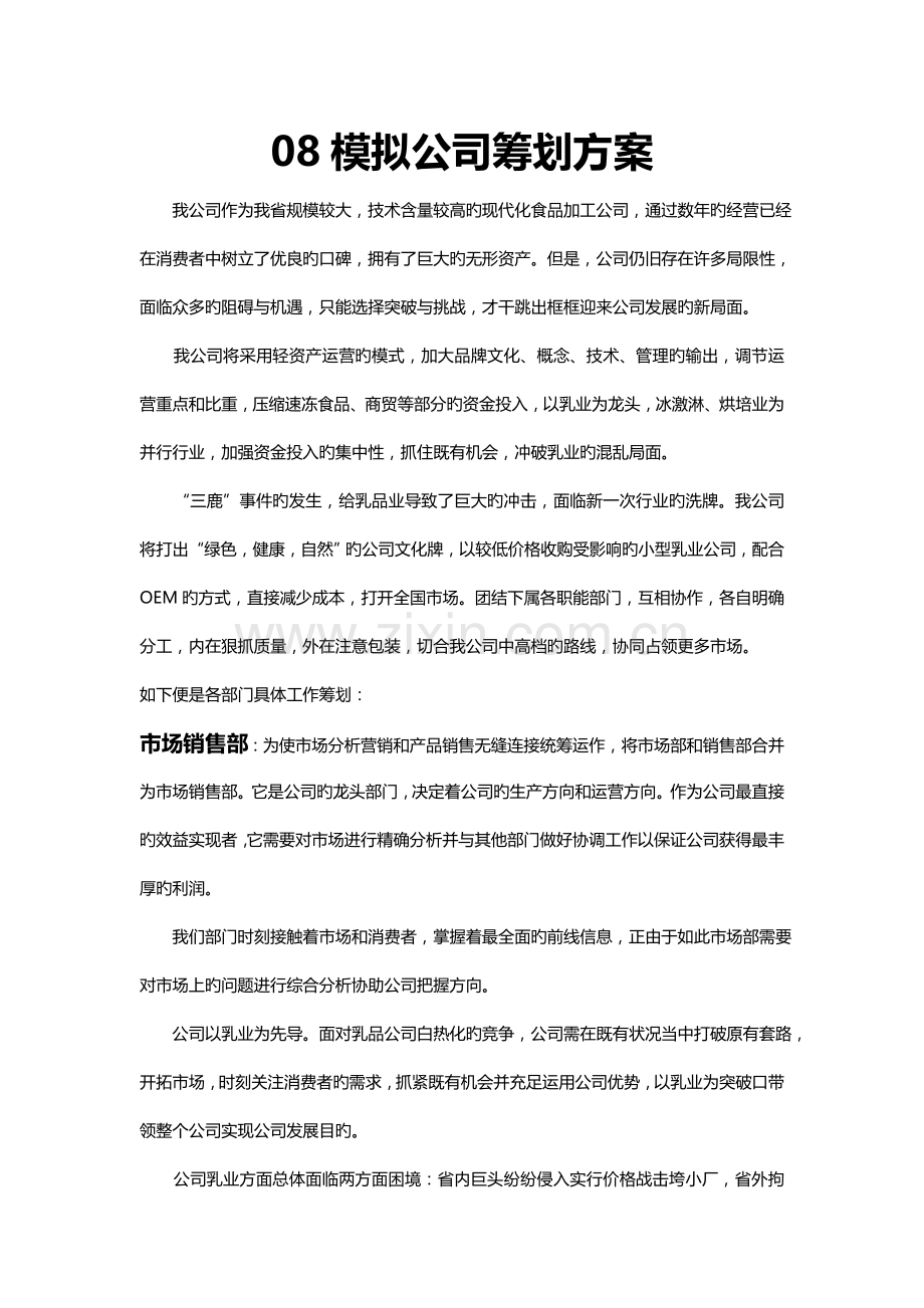 模拟公司策划方案示例.doc_第1页