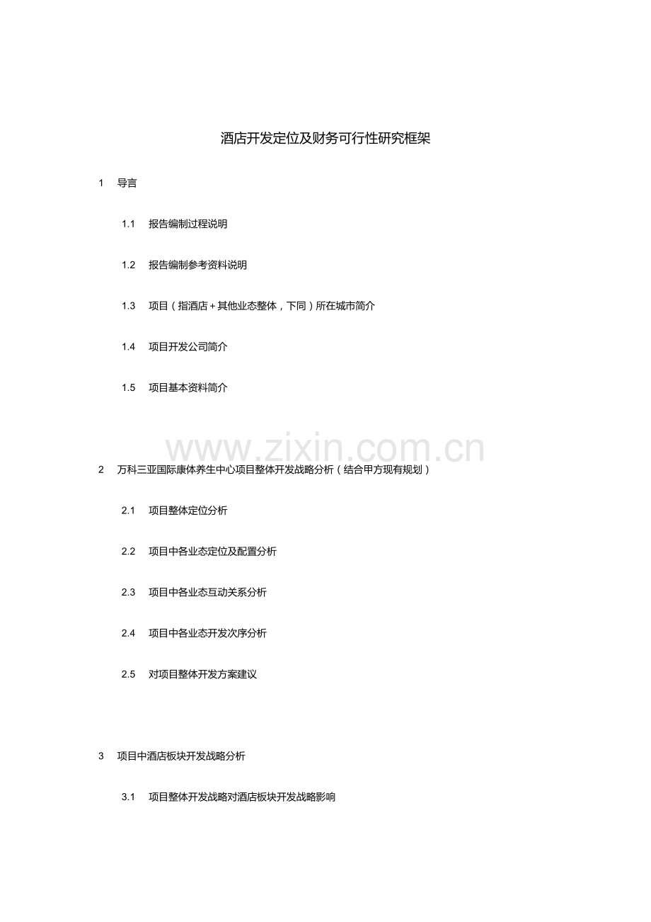 酒店开发定位及财务可行性研究框架.docx_第1页