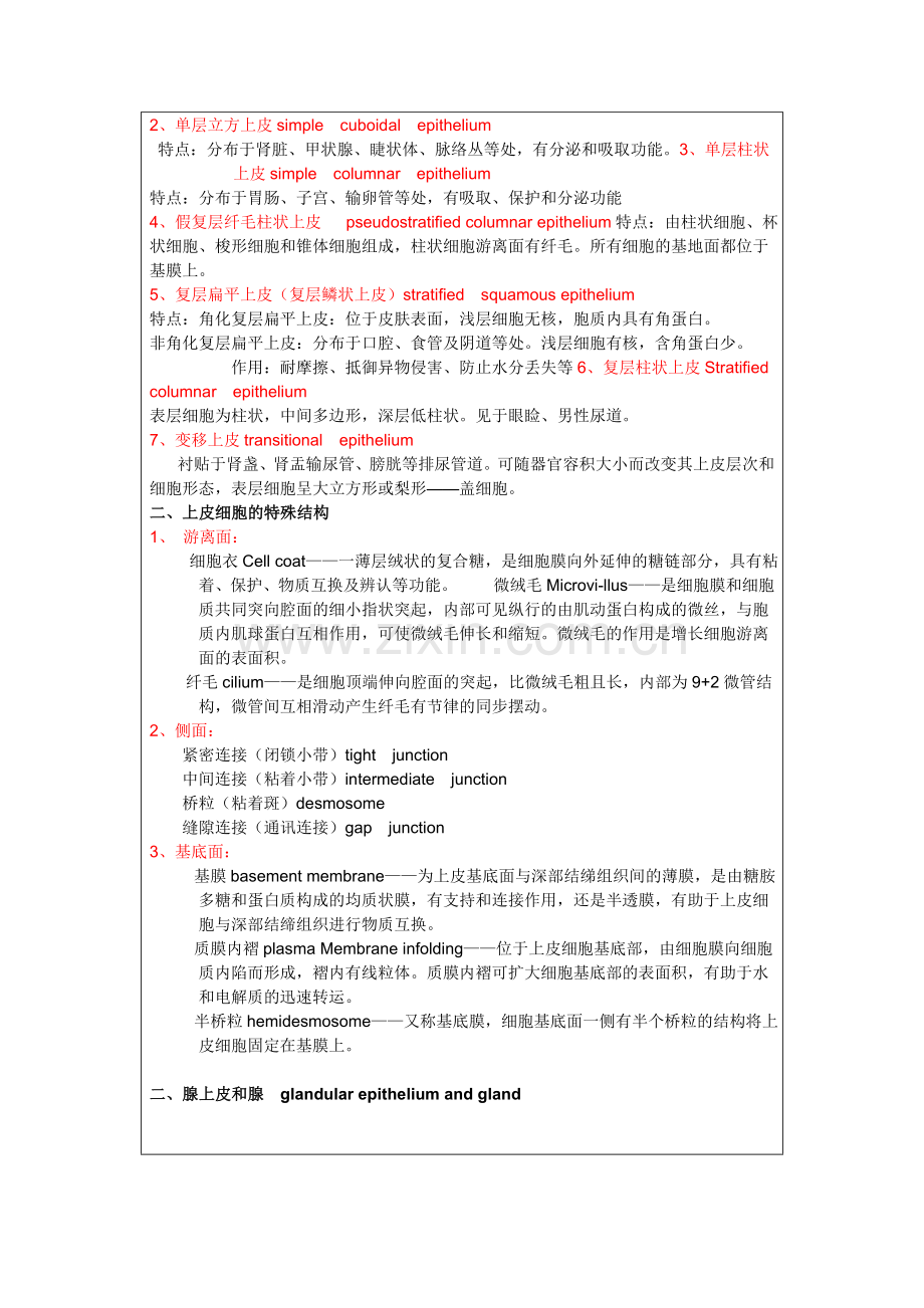 组织学笔记专业资料.doc_第2页