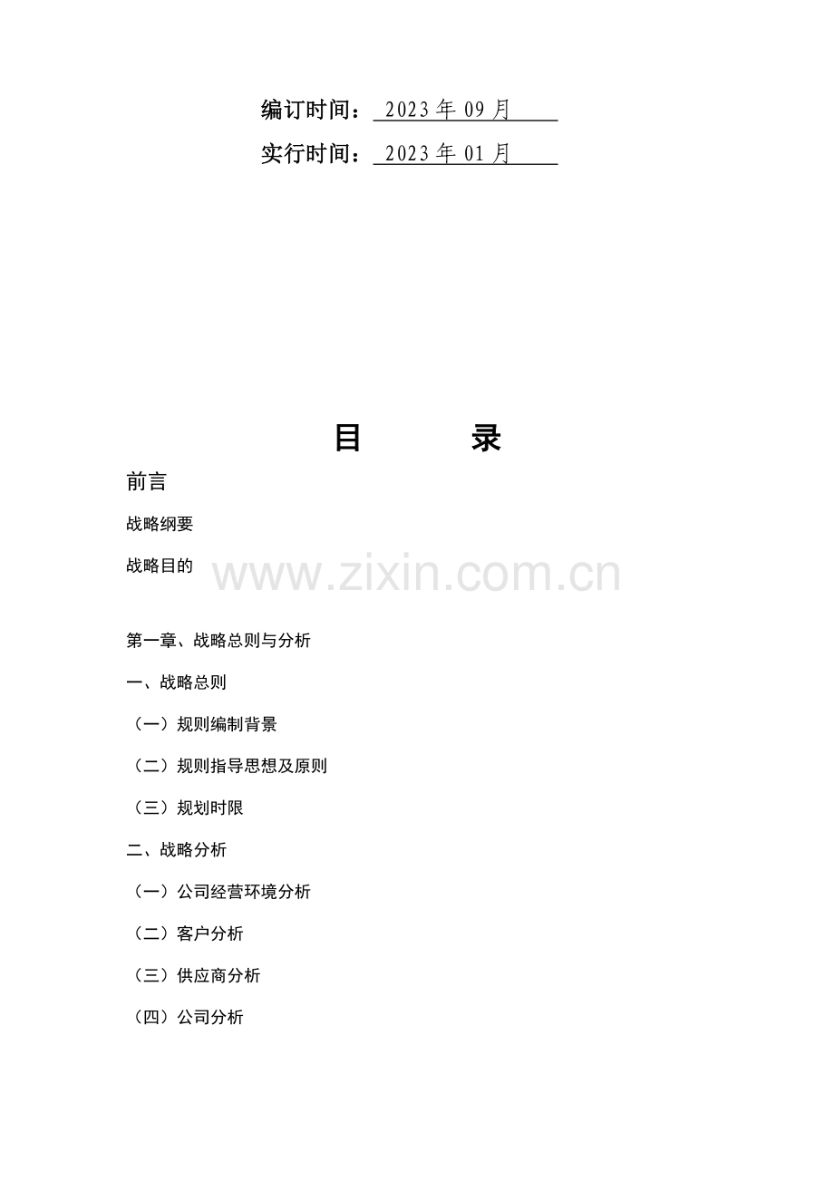 企业发展战略计划书.doc_第3页