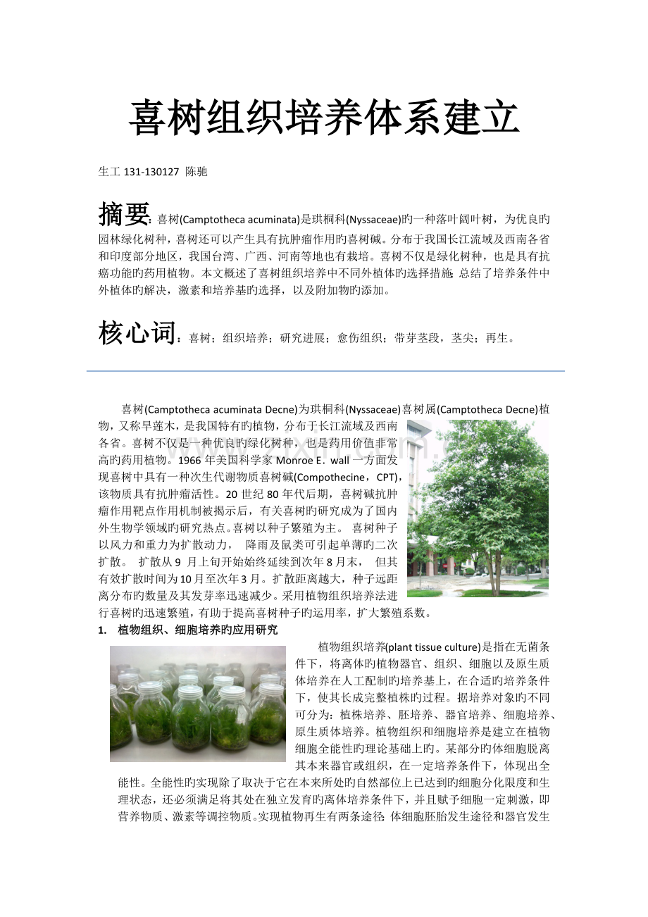 喜树组织培养体系建立.docx_第1页