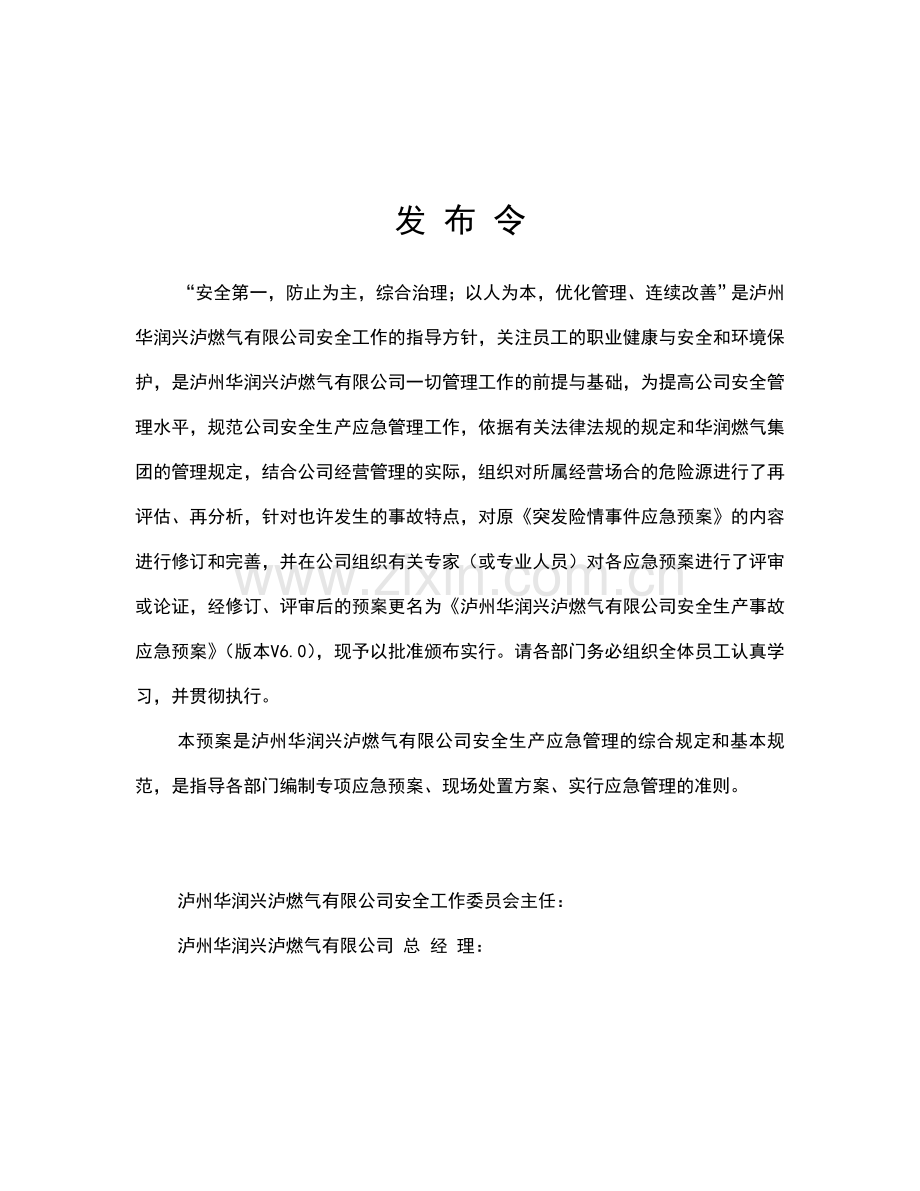 燃气公司安全生产事故综合应急预案.doc_第2页