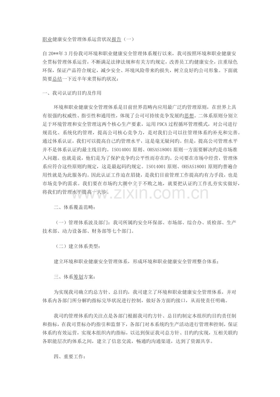 职业健康安全运行报告.docx_第1页