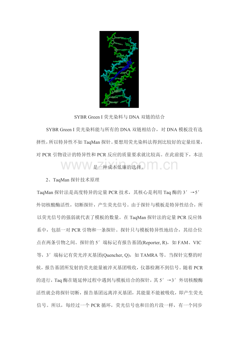 荧光定量PCR的原理及使用.doc_第2页