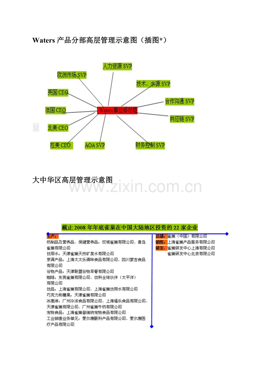 雀巢公司组织结构分析.docx_第3页