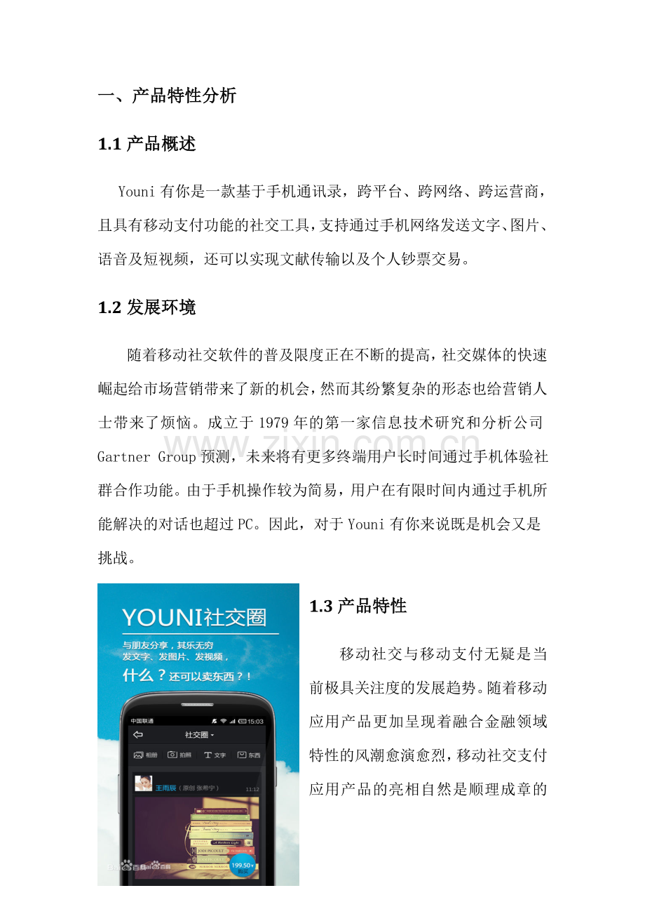 youni杯市场营销大赛团队营销策划书.doc_第3页