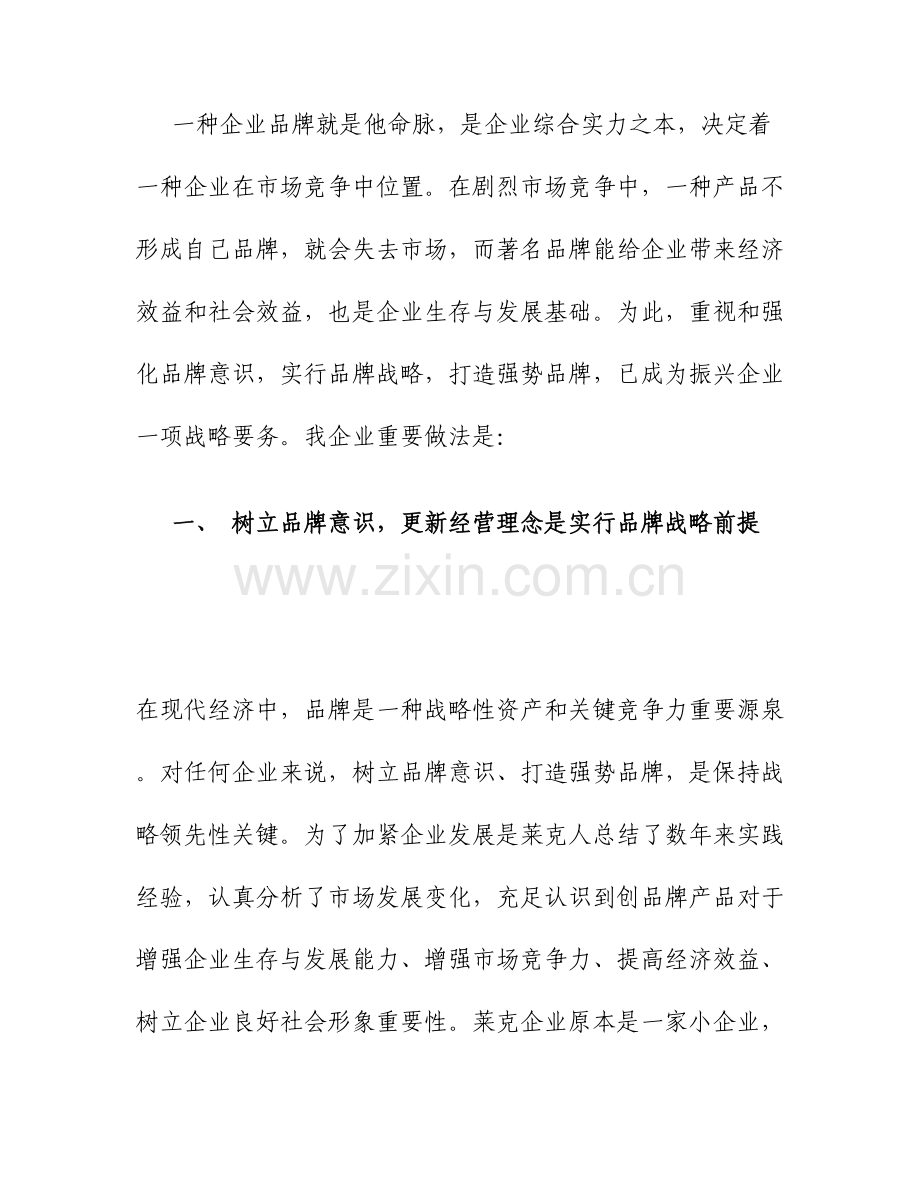 品牌战略打造企业核心竞争力.doc_第2页