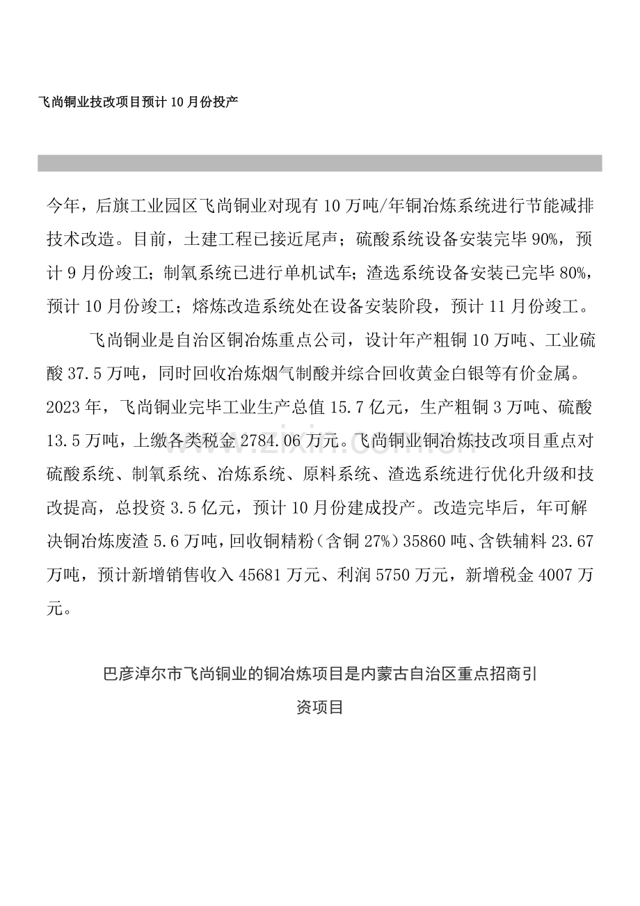 飞尚铜业技改项目预计投产.doc_第1页