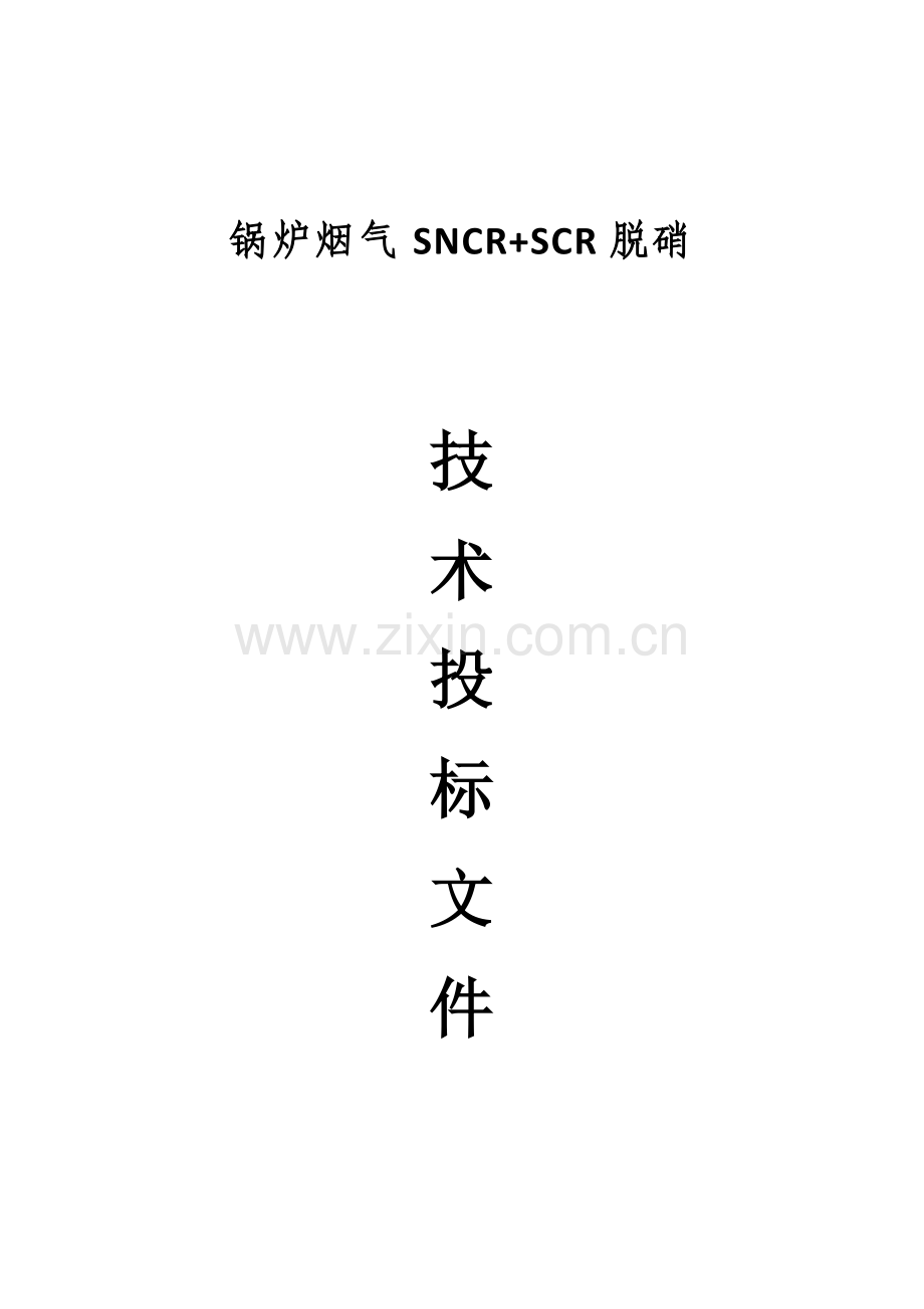 SNCRSCR方案专业资料.doc_第1页