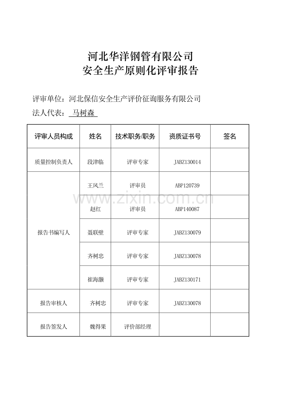 安全标准化二级企业评审报告(模板).doc_第2页