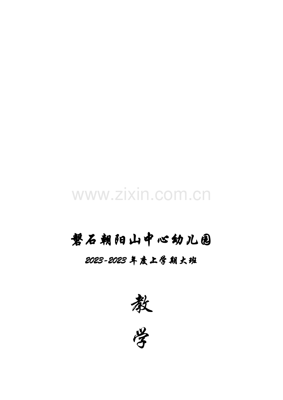 中心幼儿园教学计划.doc_第1页