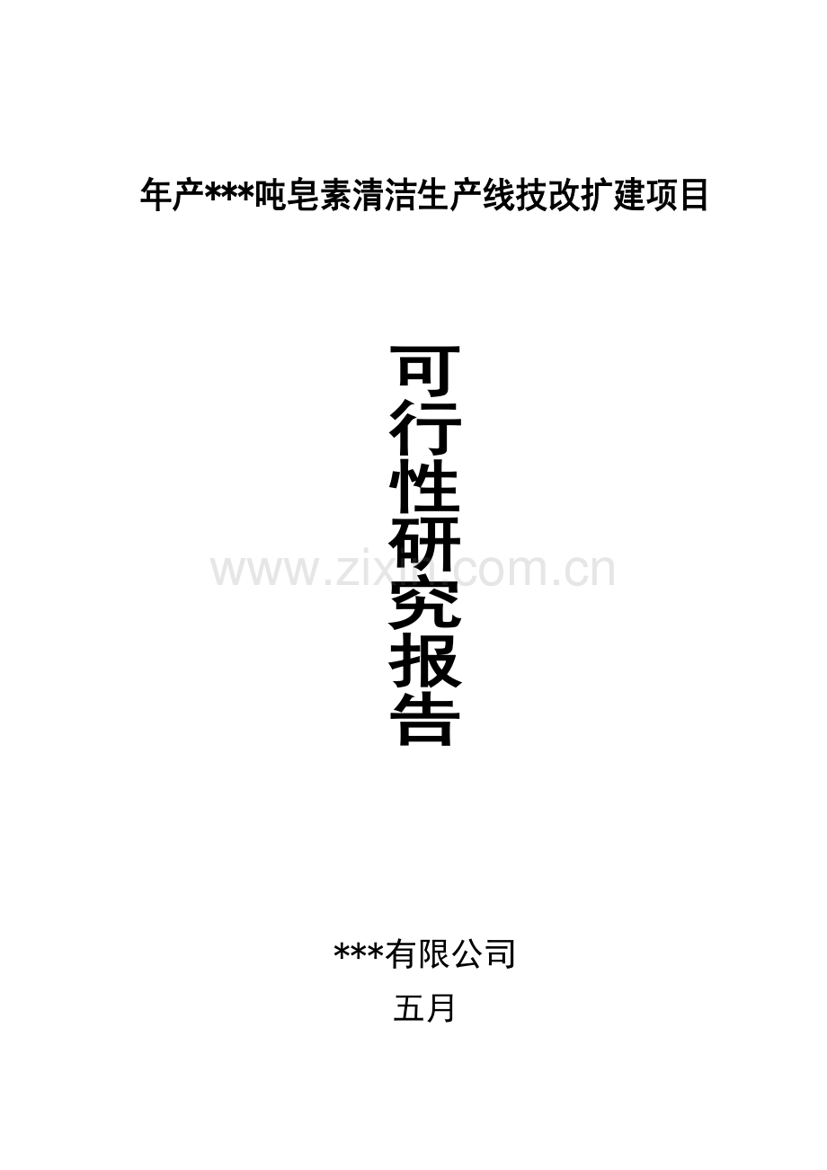 皂素清洁生产线技改扩建项目可行性报告.doc_第1页