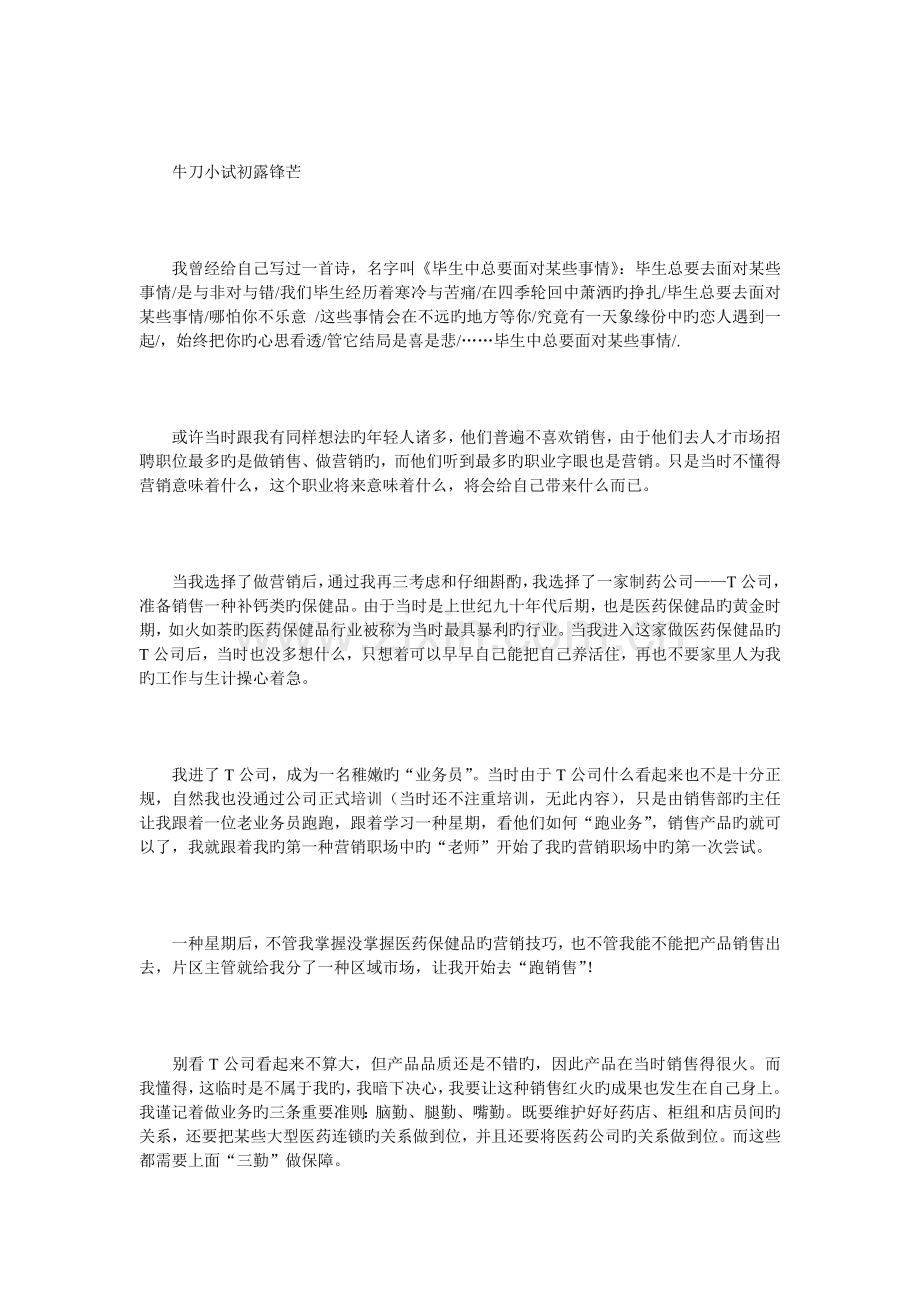 营销经理的职场总结.doc_第3页