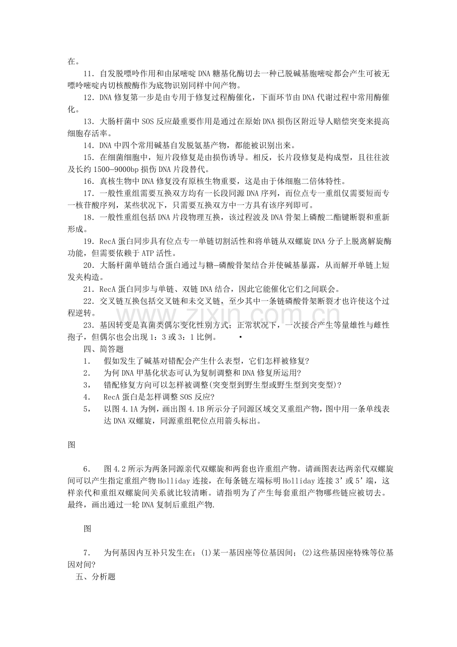 DNA修复与重组解析.doc_第3页