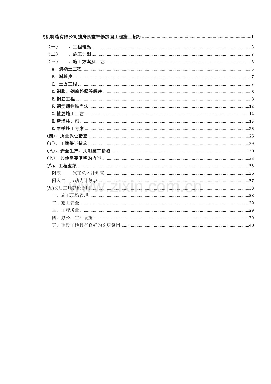 加固技术标.doc_第2页