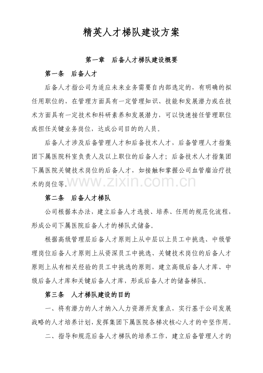 精英人才梯队建设方案CN.doc_第1页