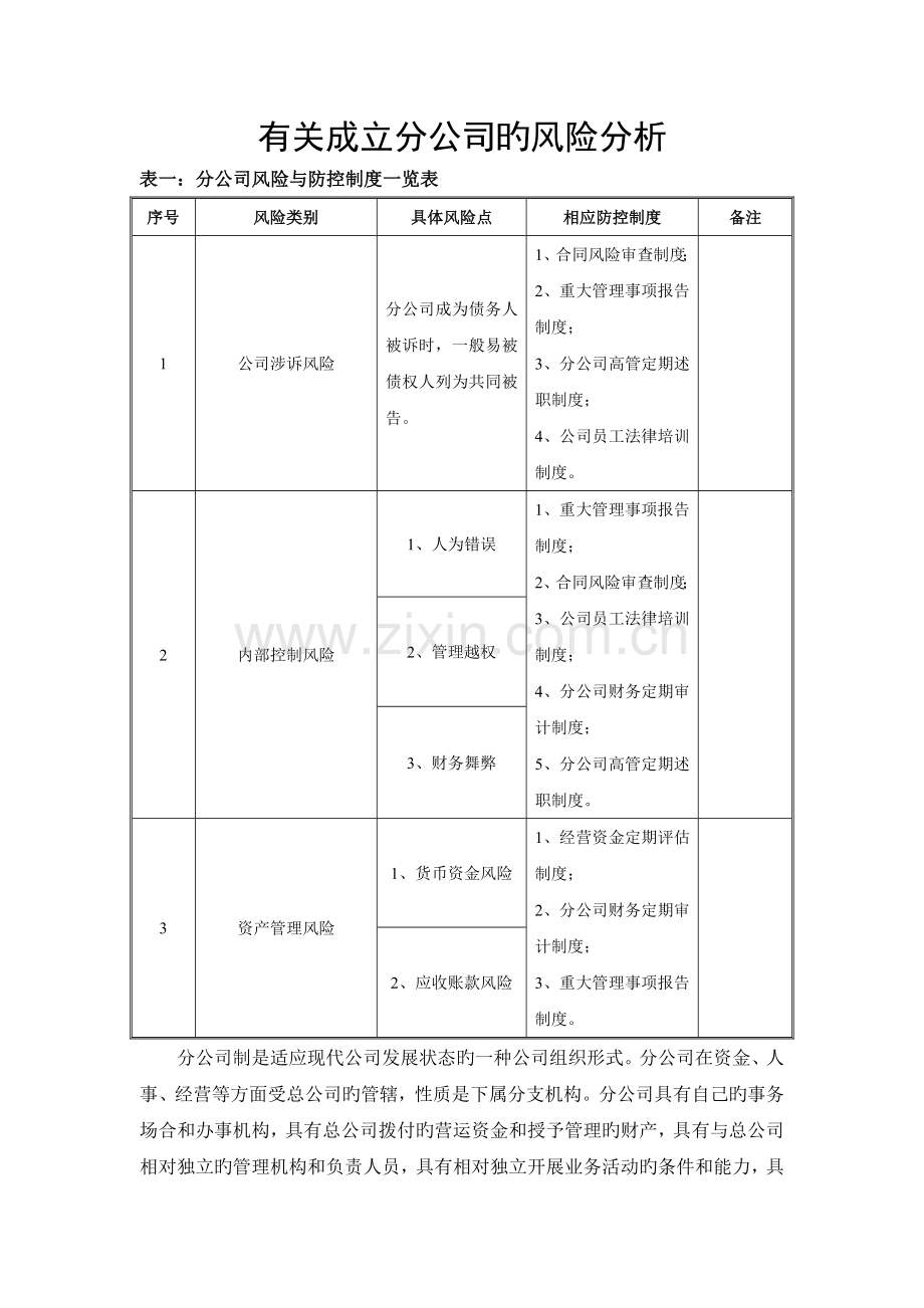 成立分公司的风险分析.doc_第1页