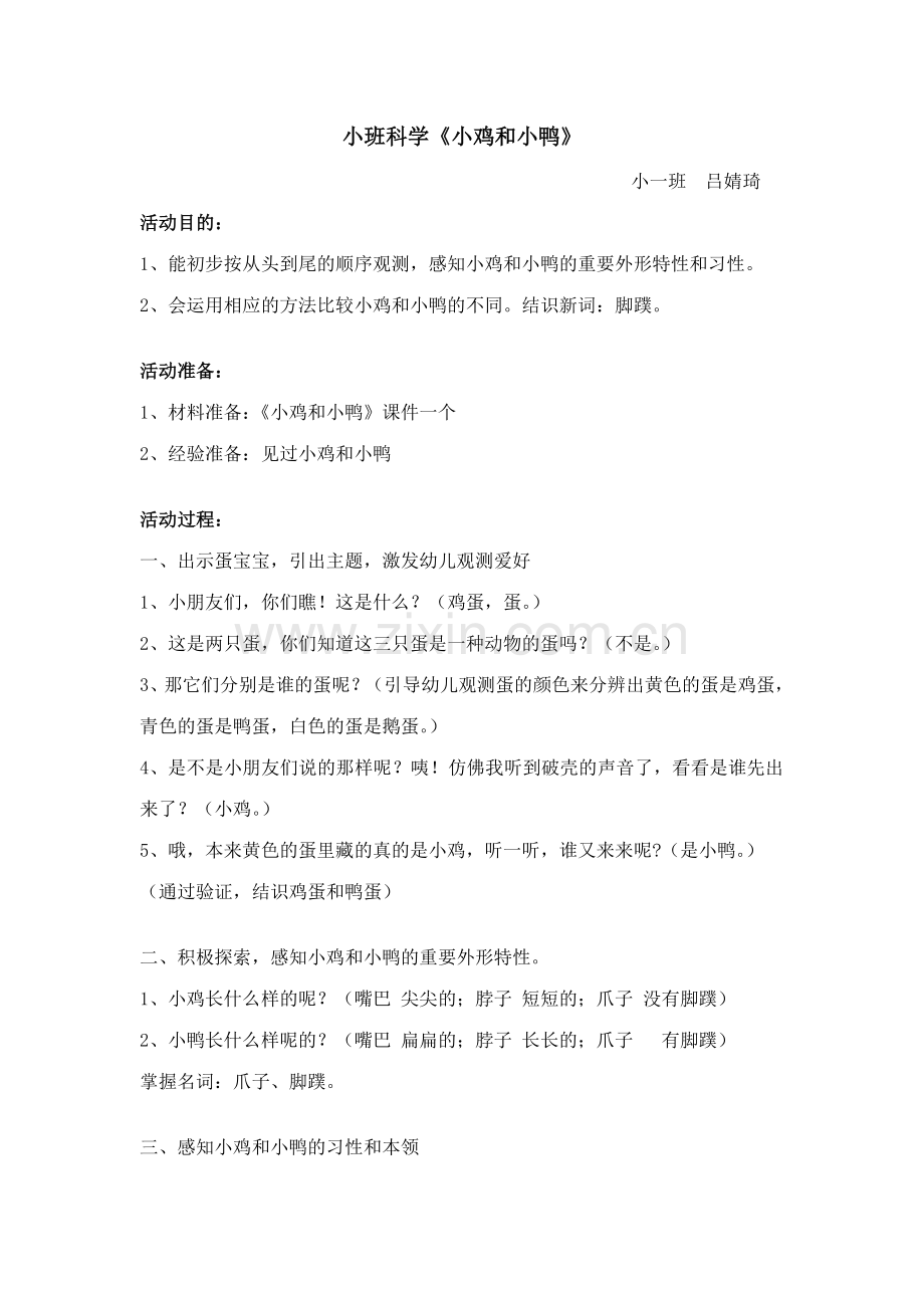 小班科学小鸡和小鸭教案.doc_第1页